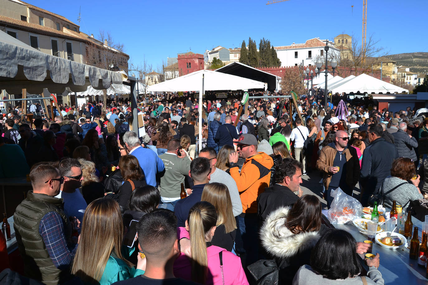 X Fiesta del Vino en Alhama.