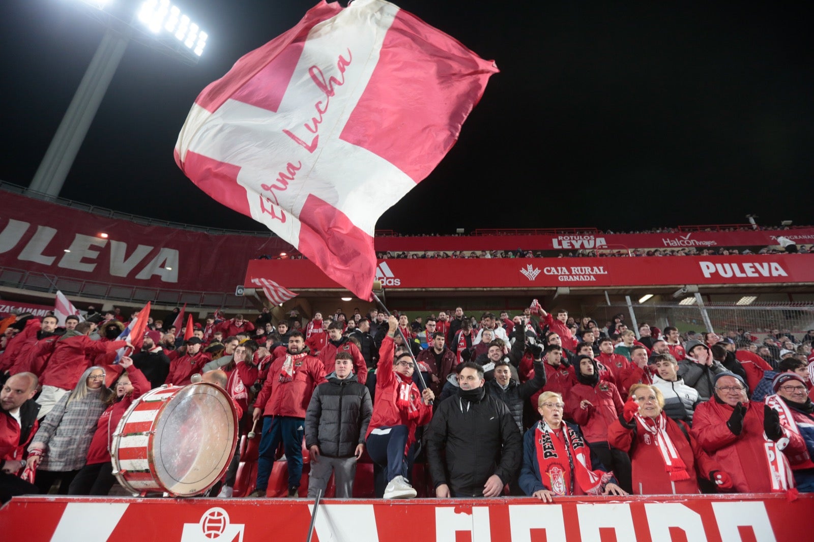 Las mejores imágenes del partido disputado en Los Cármenes