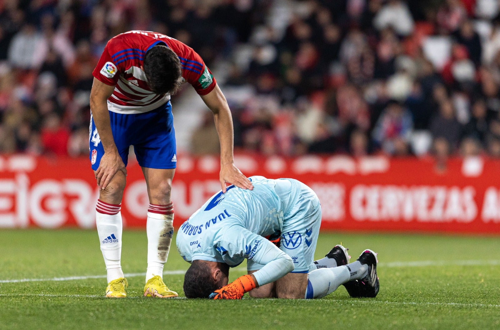 Las mejores imágenes del partido disputado en Los Cármenes