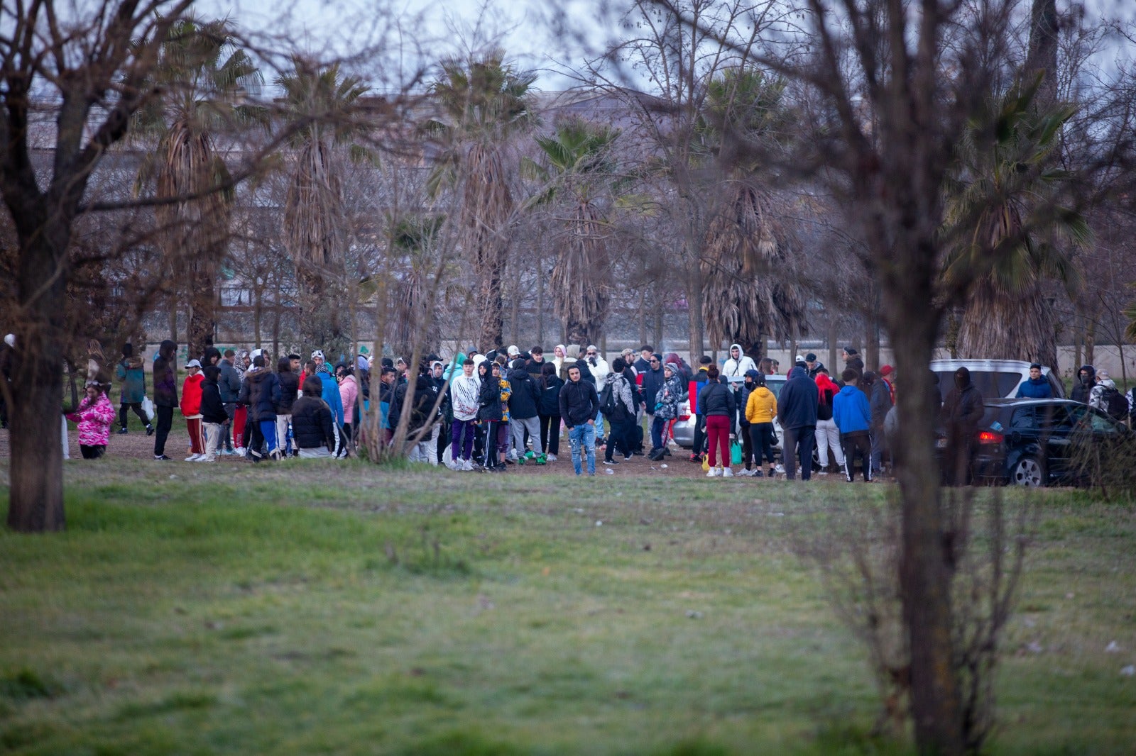 Numerosos jóvenes se desplazaron hasta unos terrenos de Bobadilla para seguir la juerga a primera hora de la mañana de este sábado.
