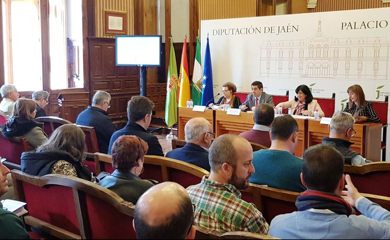 Reunión del Consejo de Alcaldes y Alcaldesas. 