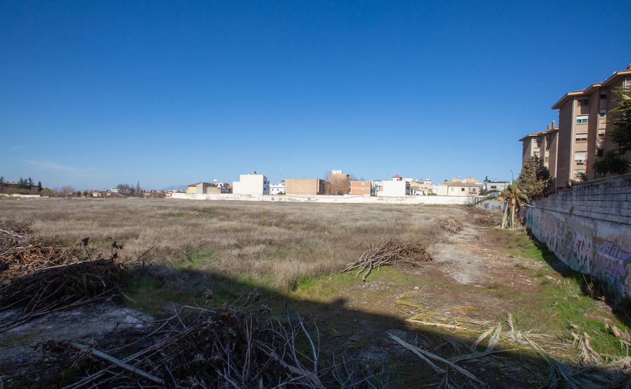 Terrenos de los Mondragones donde se desarrollará medio millar de viviendas. 