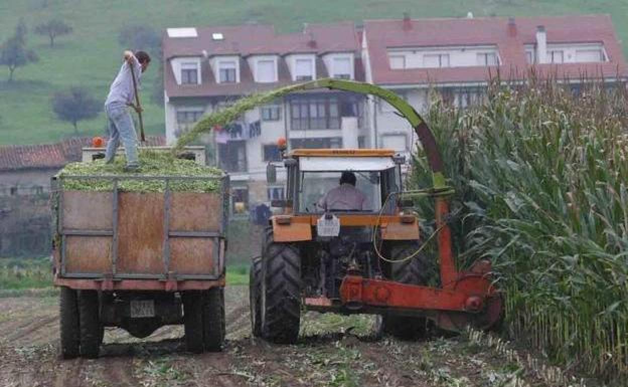 El campo es el sector donde más incidencia tiene la subida del salario mínimo.