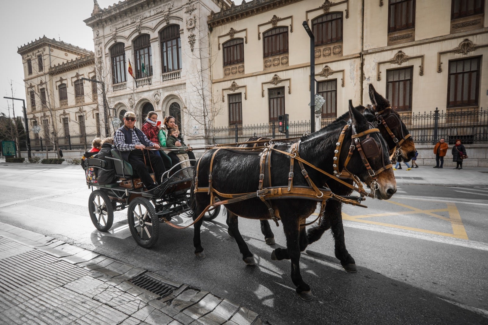 Actividades de todo tiop en el centro de la ciudad con motivo del día sin coches