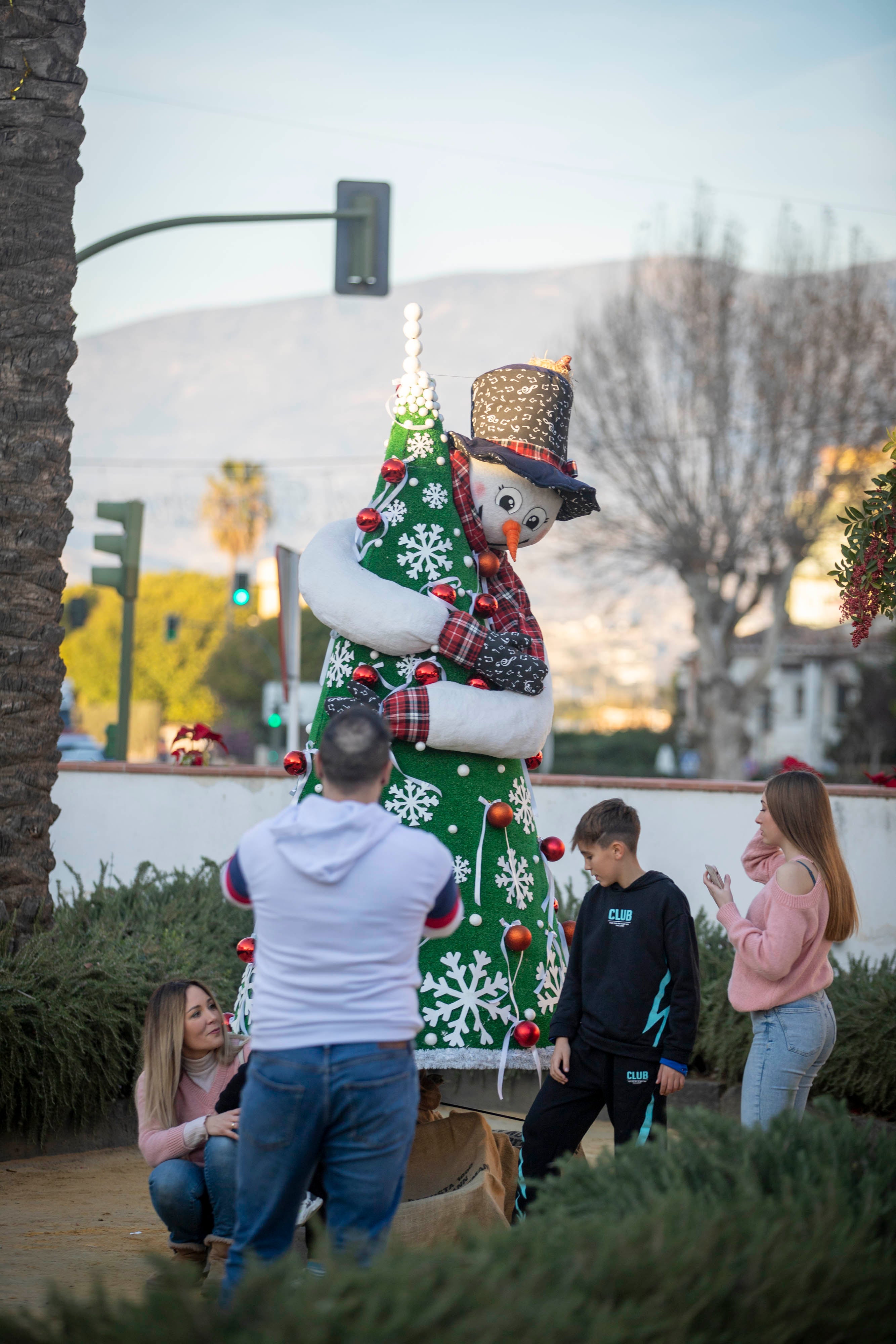 Las imágenes de los árboles de Navidad que tocan todas las ramas en Torrenueva