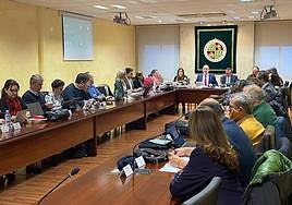 Consejo de Gobierno de la UJA, en la sesión del 21 de diciembre.