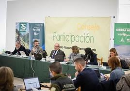 La Junta celebra el 25 aniversario del Parque Nacional de Sierra Nevada con una veintena de actividades