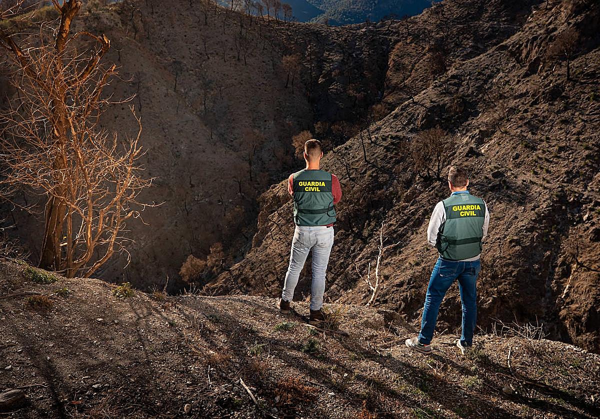 Los dos investigadores principales del incendio de Los Guájares divisan el terreno quemado, en el que resurgen algunos brotes verdes.
