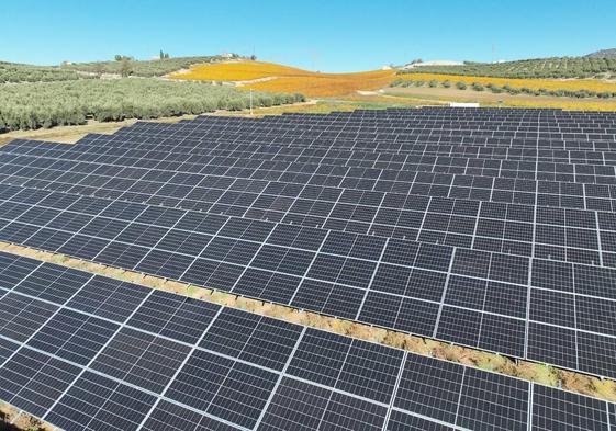 Una de las plantas fotovoltaicas de Greening Group, en Alcalá la Real.