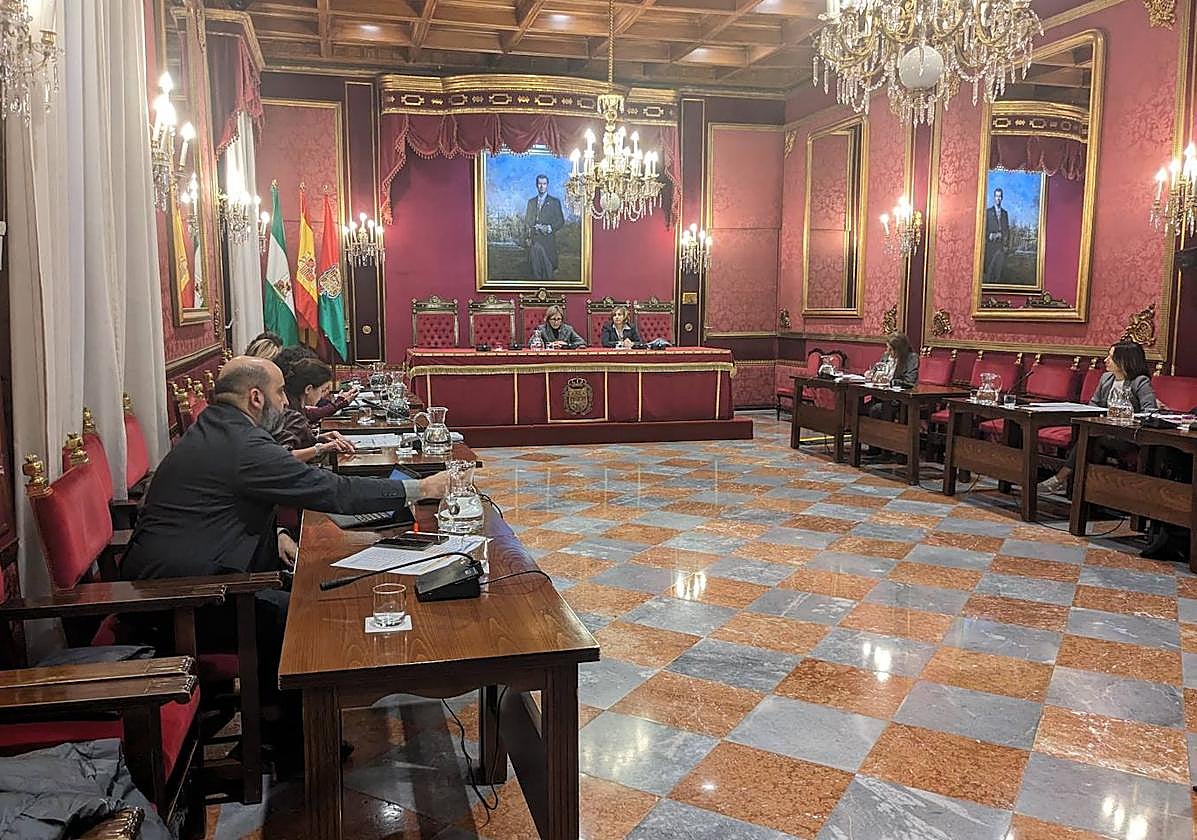 Un momento de la comisión informativa de Movilidad celebrada este martes.