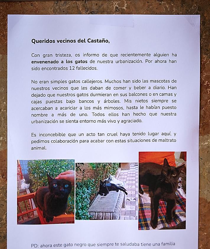 Imagen secundaria 2 - Comida para los gatos de la zona | Un gato dentro de la urbanización afectada | Cartel colocado por los vecinos