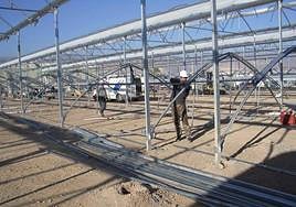 Construcción de un invernadero desarrollado en la UAL destinado, específicamente, a minimizar los accidentes.