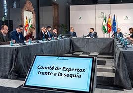 El presidente de la Junta de Andalucía, Juanma Moreno, interviene para los medios de comunicación, a 18 de enero de 2024,