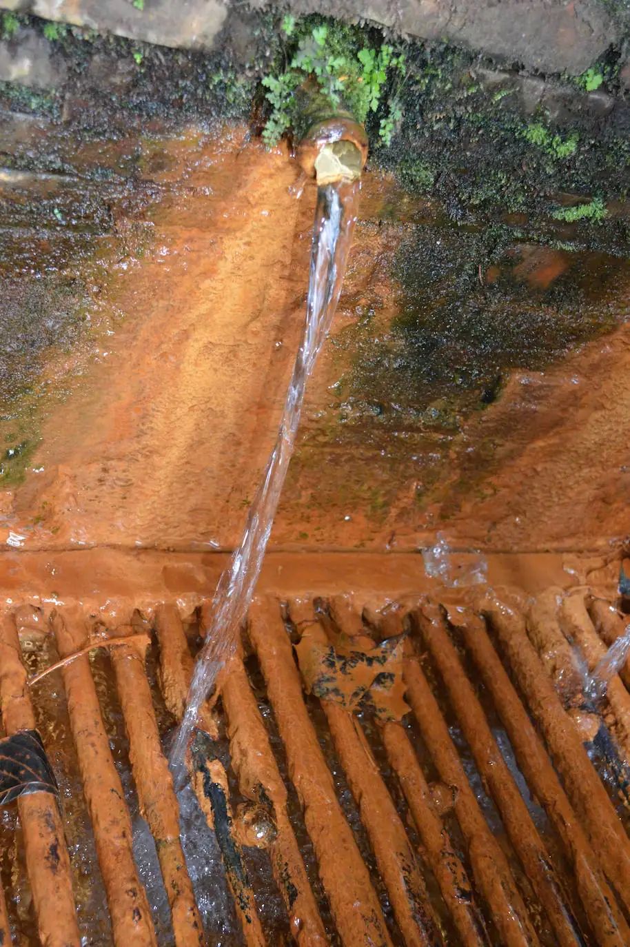 El agua sale cristalina de los caños.