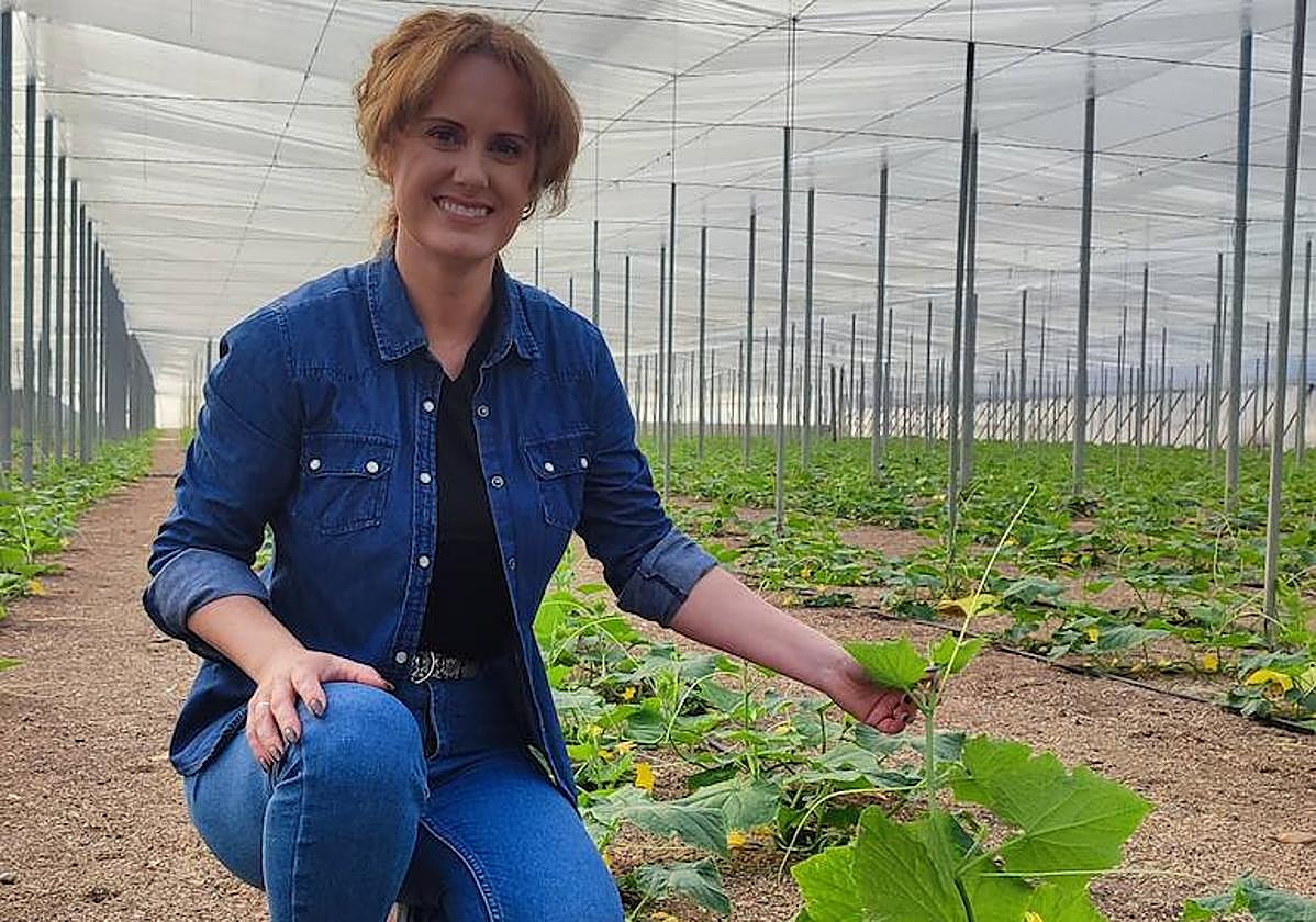 «No tenemos armas suficientes para las plagas que se van presentando día a día»