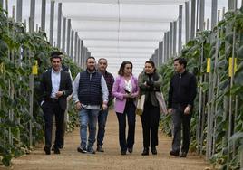 Javier Aureliano García, Cuca Gamarra, Carmen Crespo y Francisco Góngora, junto al agricultor Paco Peralta, en su finca.