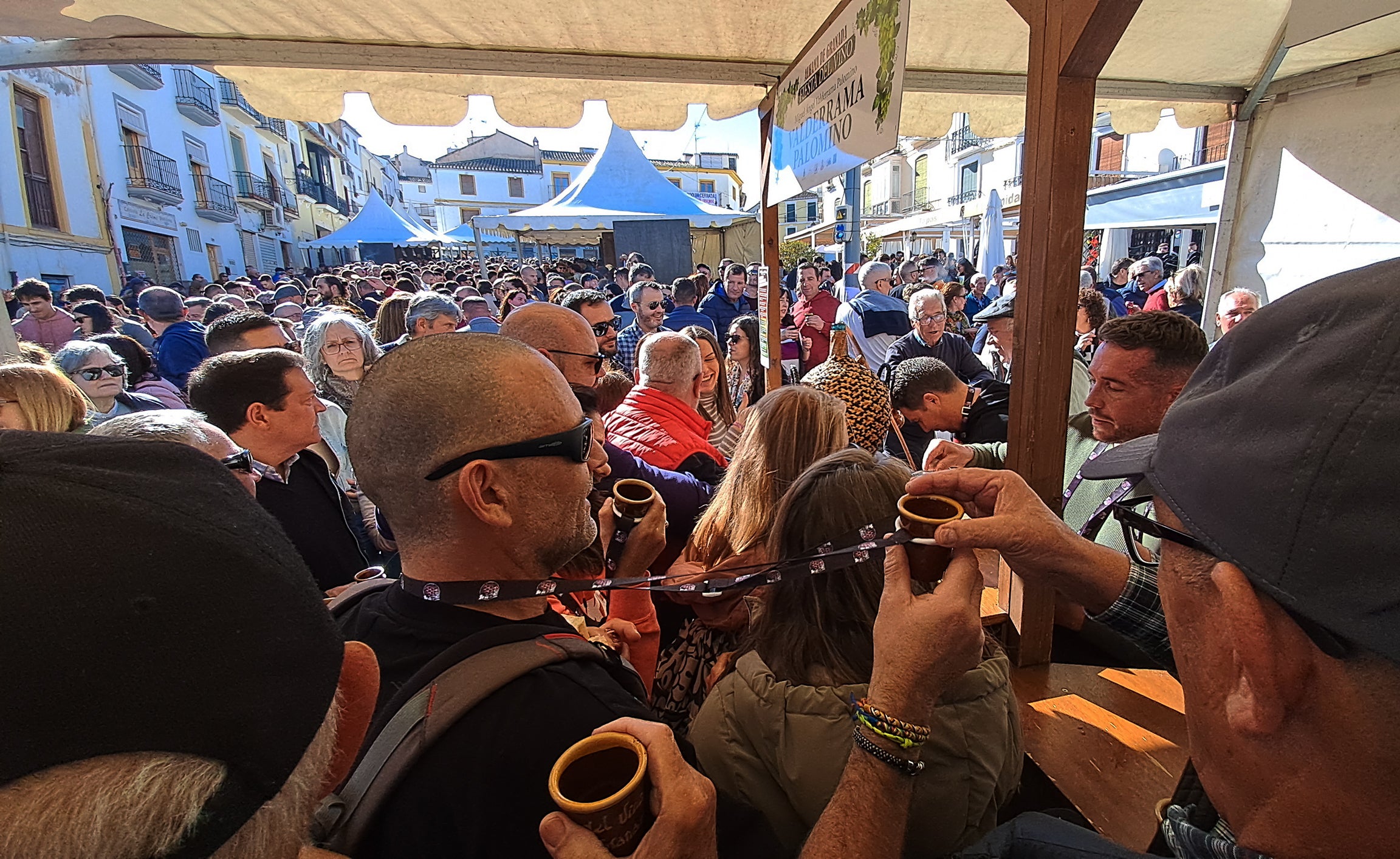 Las imágenes de la Fiesta del Vino de Alhama