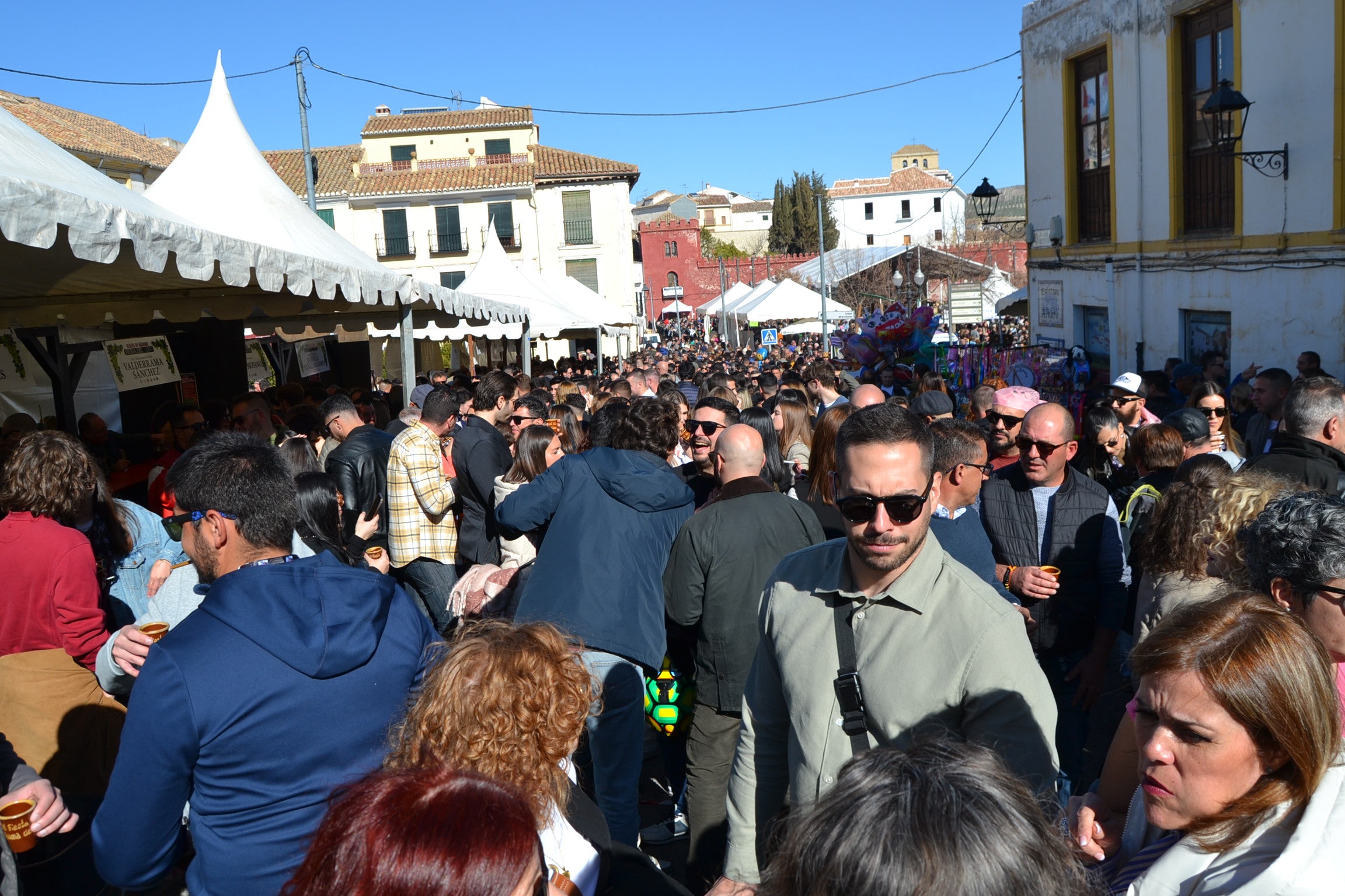 Las imágenes de la Fiesta del Vino de Alhama