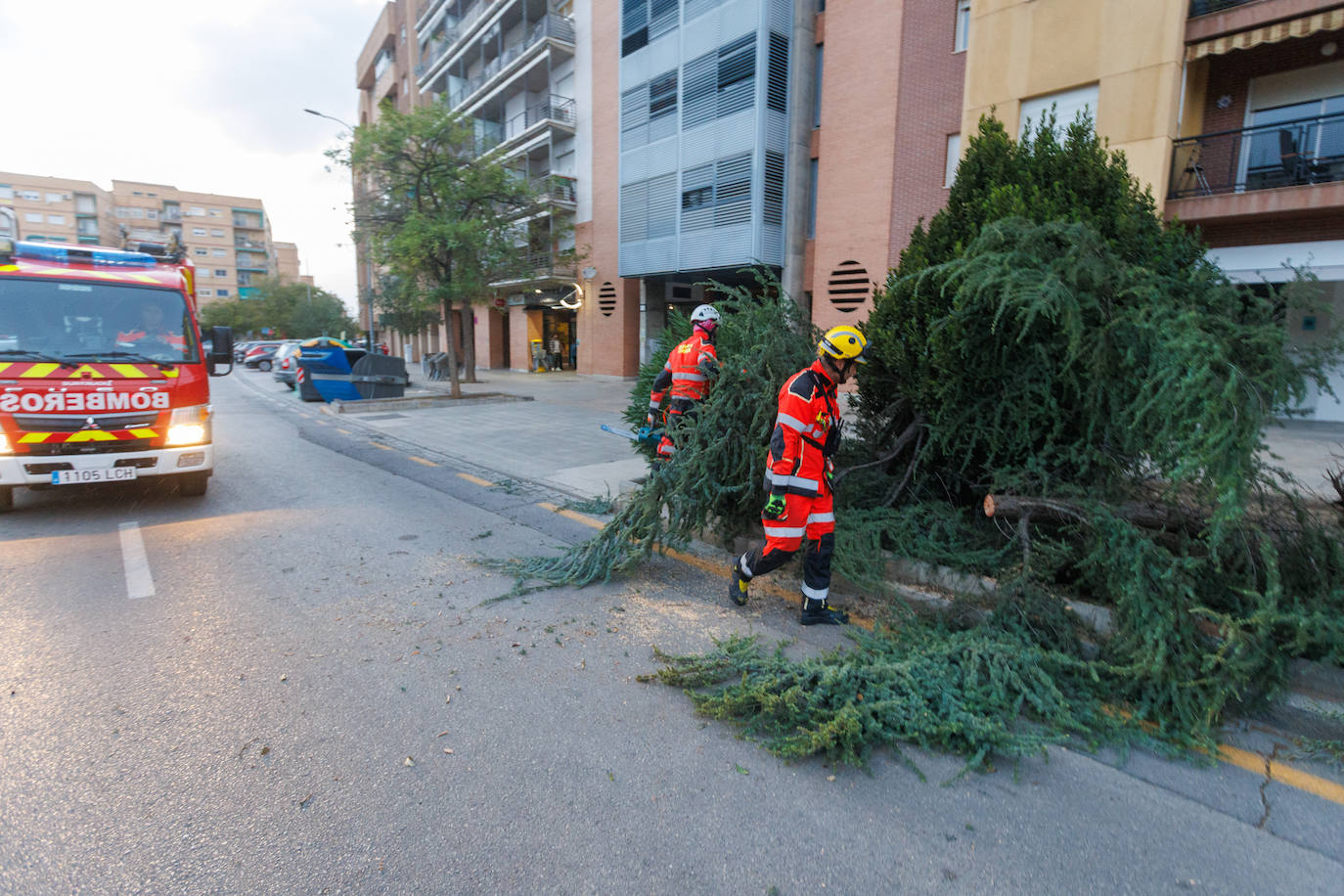 Efectivos de bomberos de Granada.