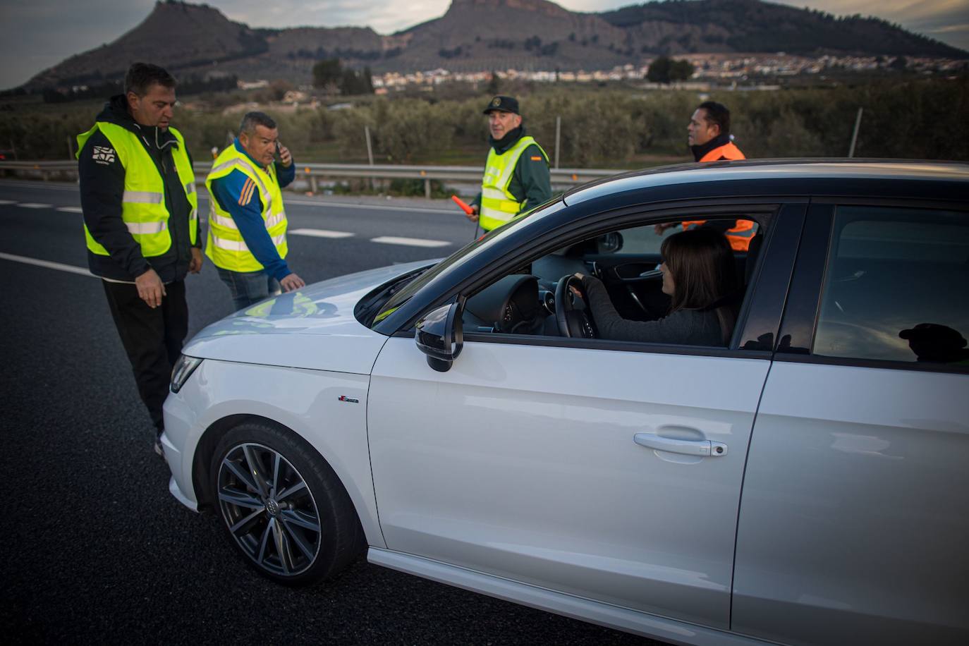 Las imágenes de la tractorada de Granada