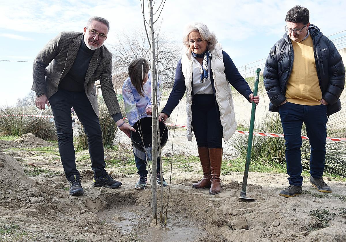 Diputación reforesta la ribera del rio Dílar a su paso por Vegas del Genil