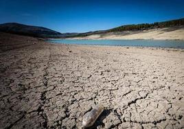 Imagen de un pantano afectado por la sequía.