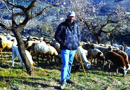 Miguel Ramón Manzano con su ganado en la Alpujarra