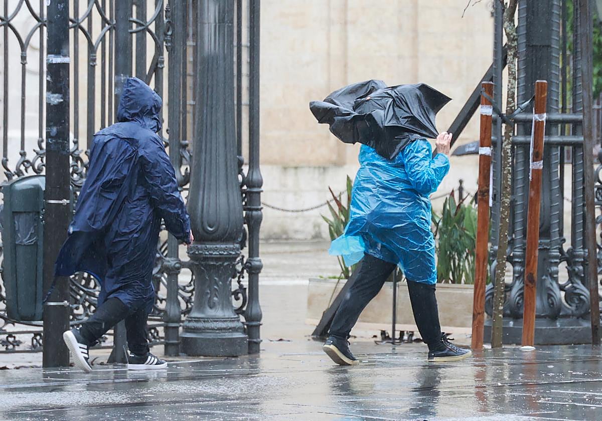 Avisos por lluvia y viento en Andalucía.
