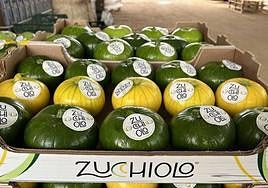 El producto de Unica galardonado.