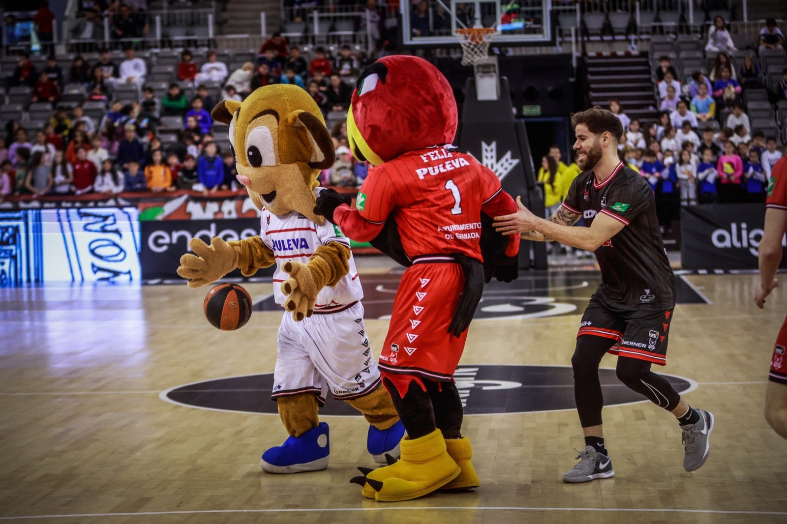 Las imágenes de los niños en el Fénix Game del Palacio de los Deportes