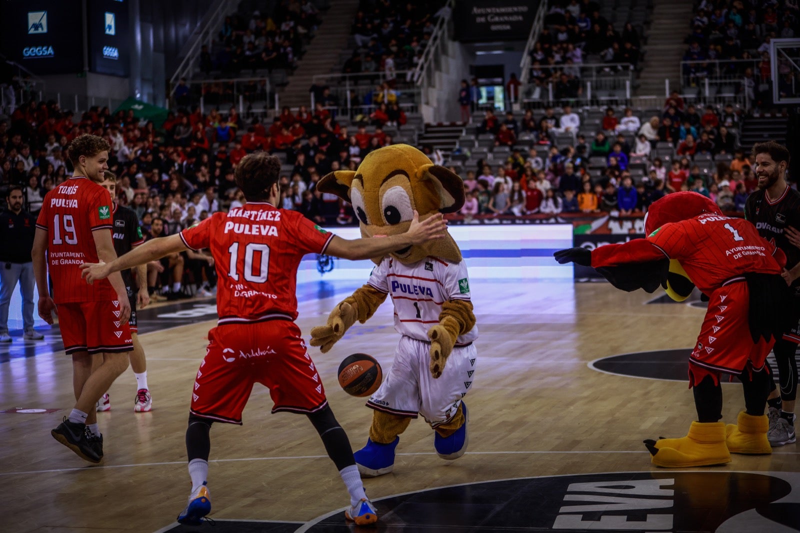 Las imágenes de los niños en el Fénix Game del Palacio de los Deportes