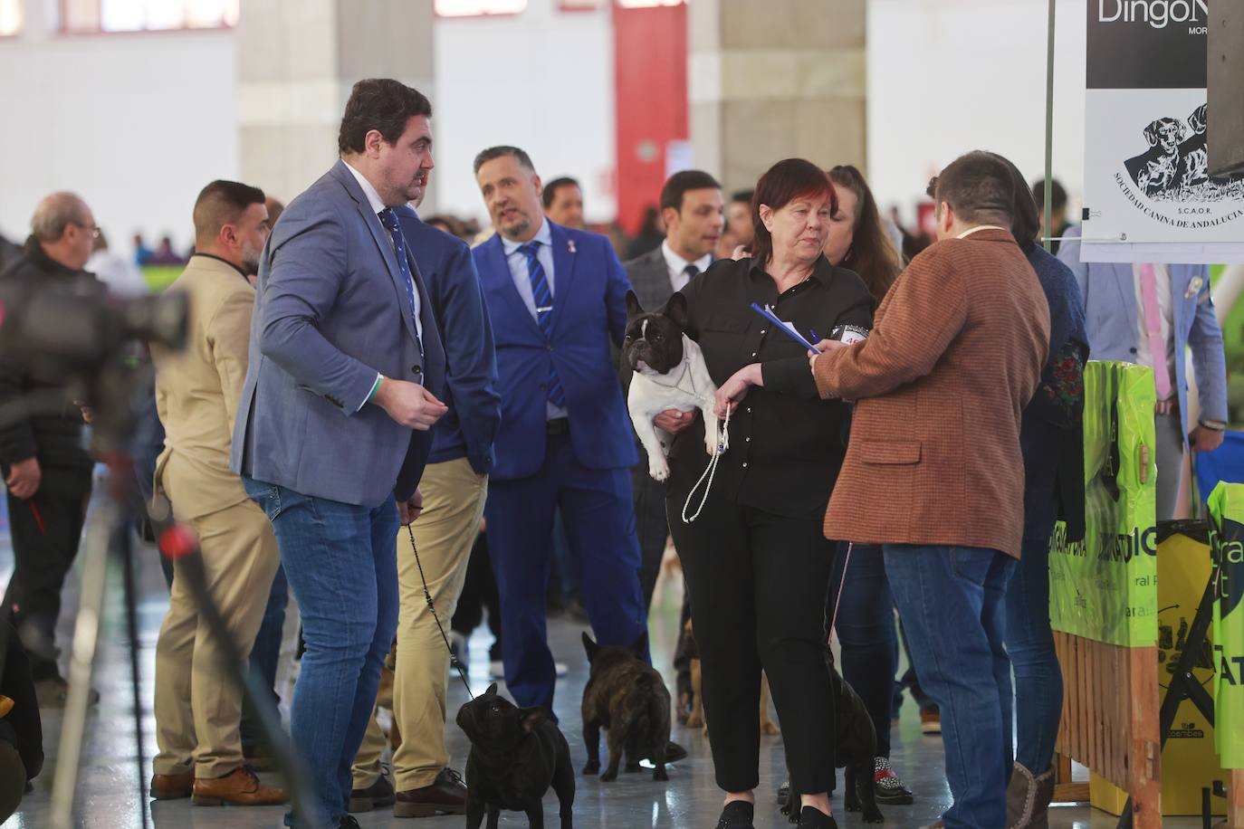 Las mejores fotos del concurso de la Exposición Internacional Canina en Armilla