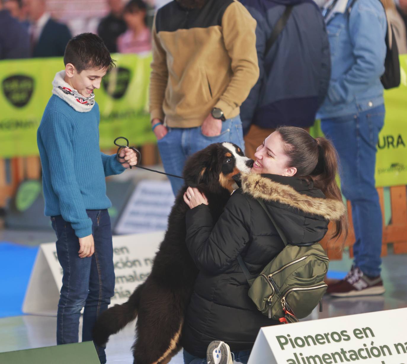 Las mejores fotos del concurso de la Exposición Internacional Canina en Armilla