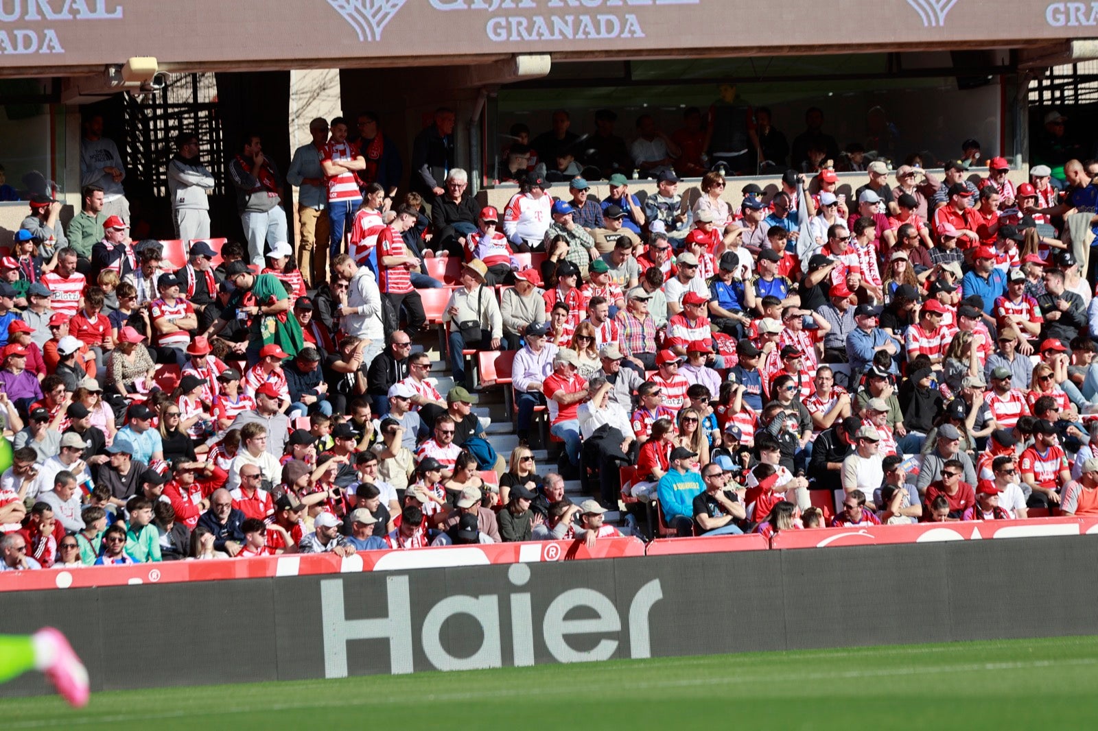 Encuéntrate en la grada en el partido entre Granada y Almería
