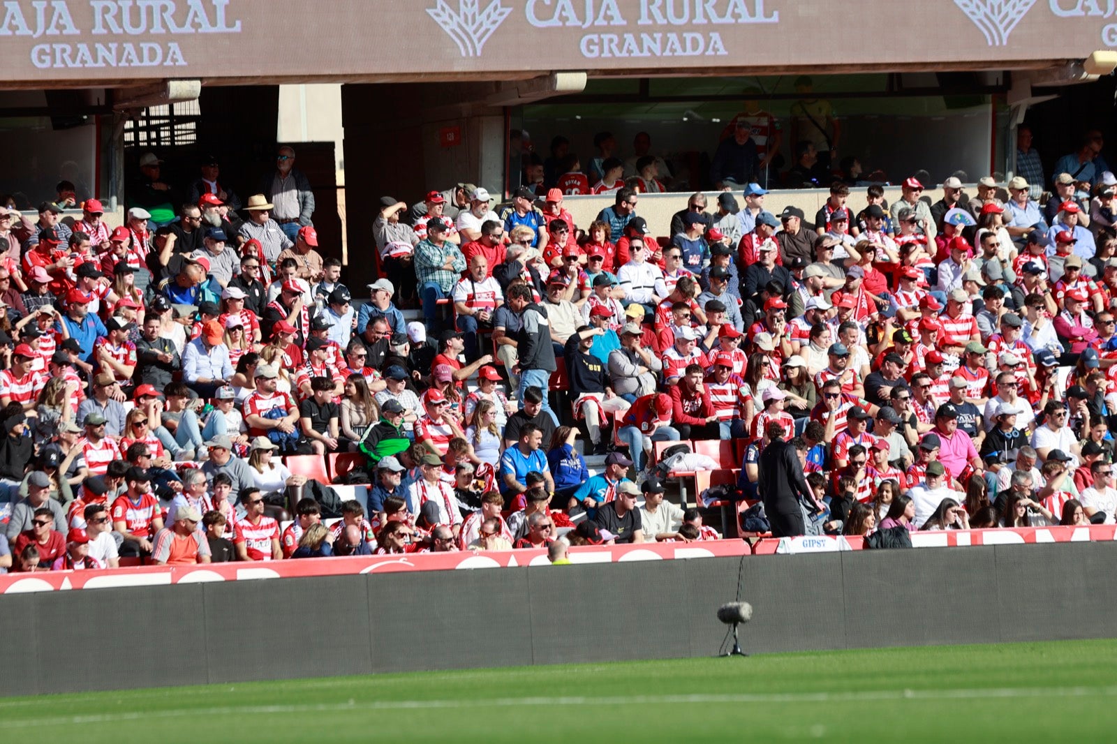 Encuéntrate en la grada en el partido entre Granada y Almería