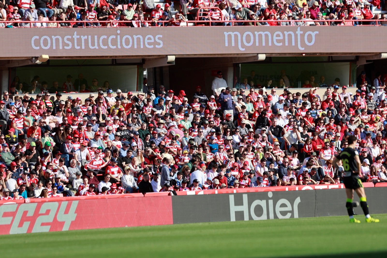 Encuéntrate en la grada en el partido entre Granada y Almería
