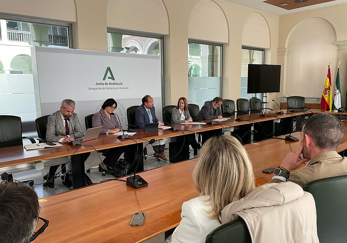 La Junta planteará a la UGR títulos alternativos de ingeniería para las necesidades del Ifmif-Dones