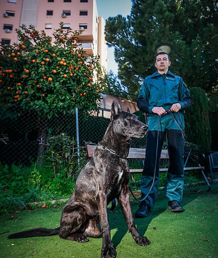 Imagen secundaria 2 - Juper y Francisco, su guía.