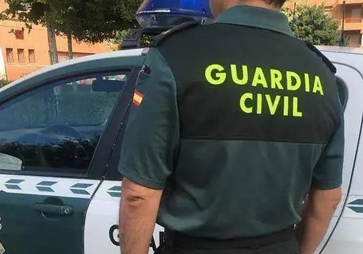 Pillados un padre de Granada y su hijo por tres robos al perder el móvil y grabarlos las cámaras