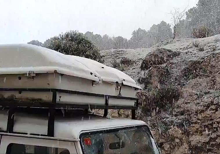Imagen de la nevada en Puerto Lobo, en la Sierra de Huétor.