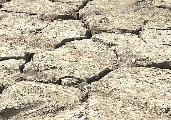 Pilar Parra habla del «desinterés que está desempeñando» el Ejecutivo de Juanma Moreno.