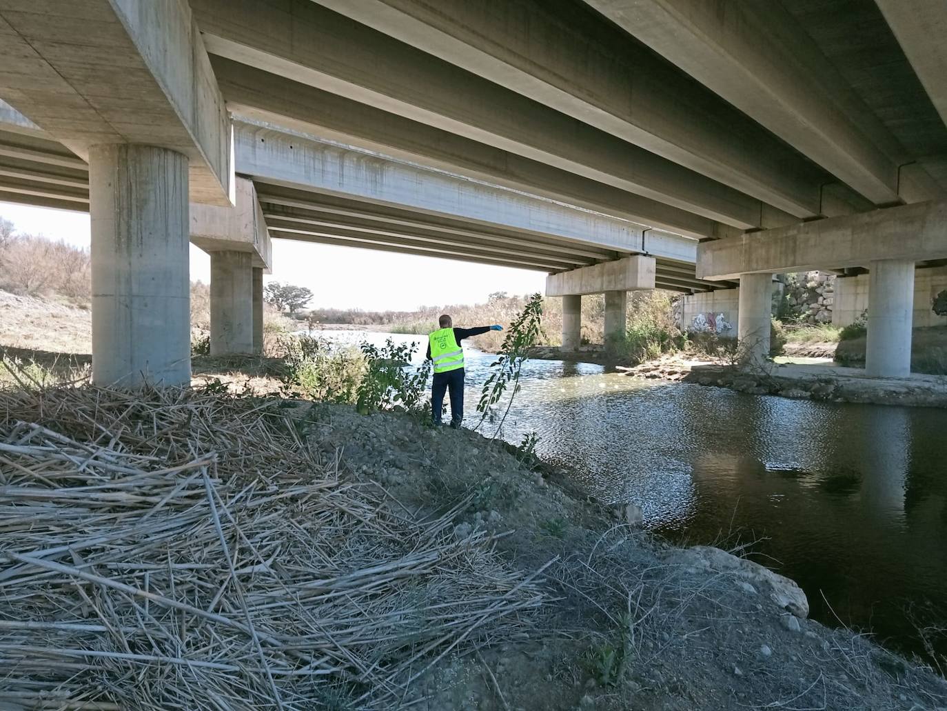 Un operario trabaja en la fumigación del insecto.