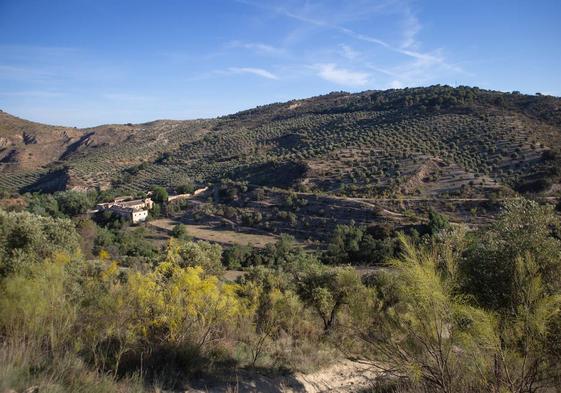 Paisaje del Valle del Darro.