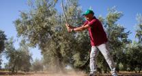 Agua bendita y dedos cruzados para la floración