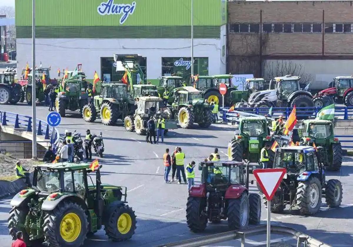 Protesta agrícola en Granada.