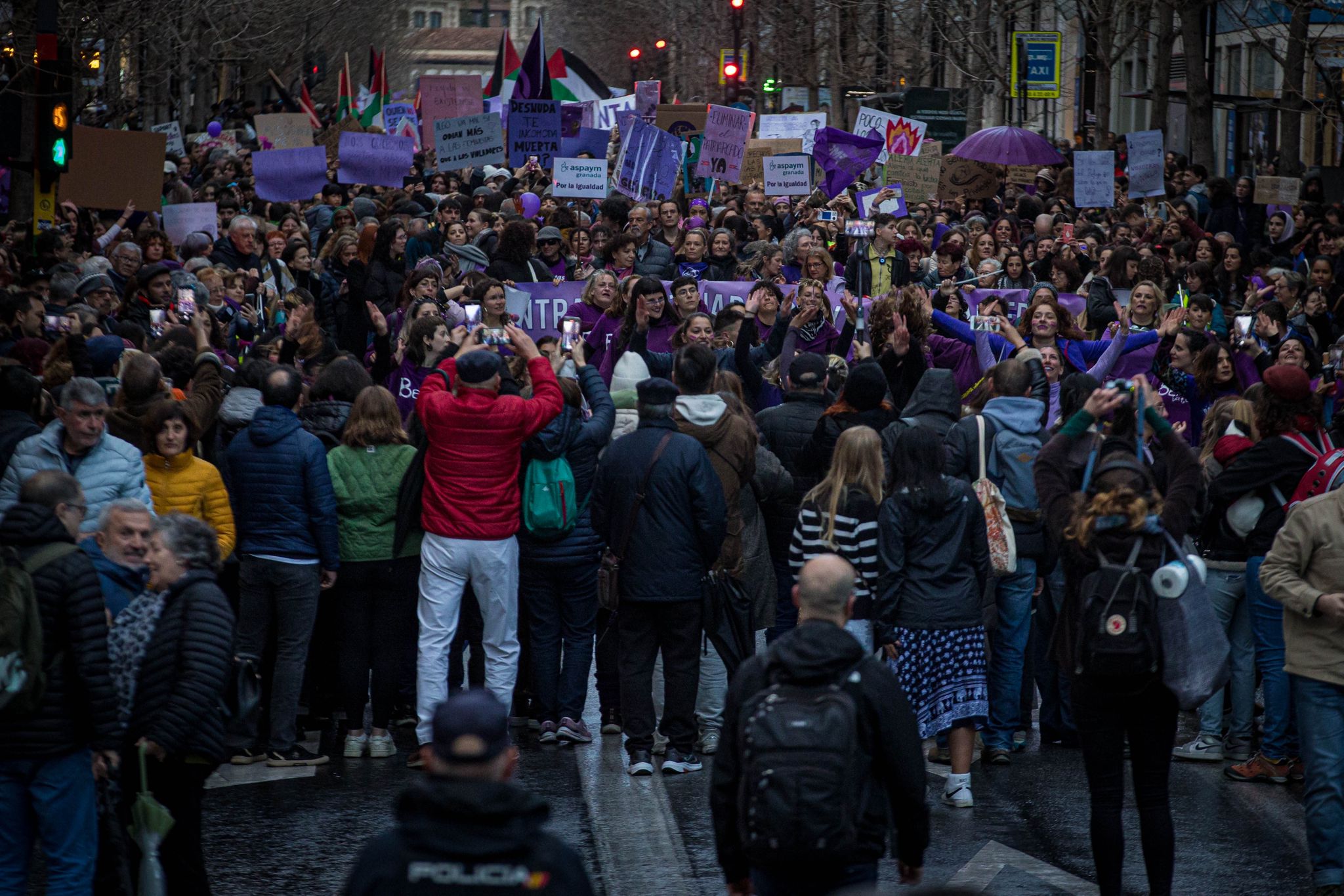 Las imágenes de la marea morada del 8M en Granada