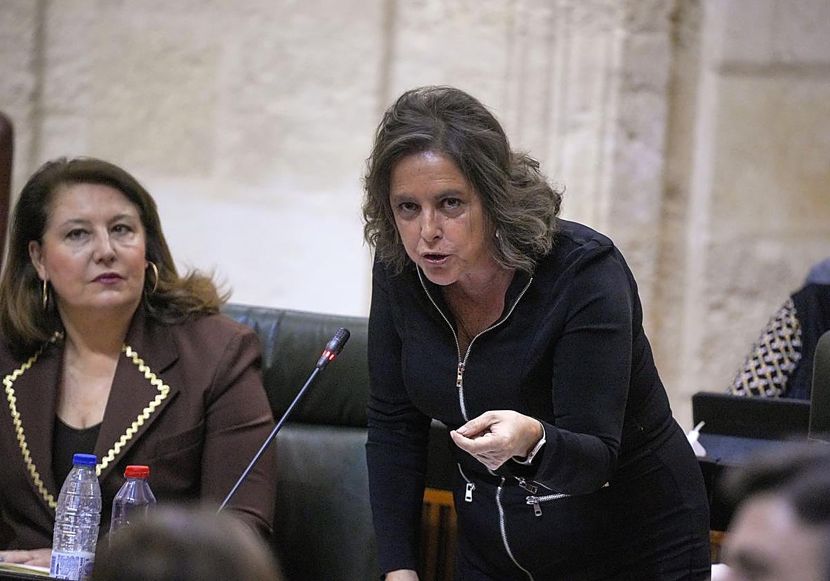 Catalina García, consejera de Salud