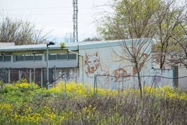 La Sociedad Protectora cierra y abandona sus instalaciones en Fuente Vaqueros.