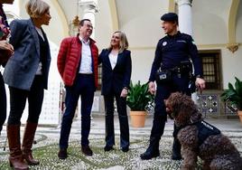 Granada impulsa una terapia emocional con perros para mujeres víctimas de violencia de género