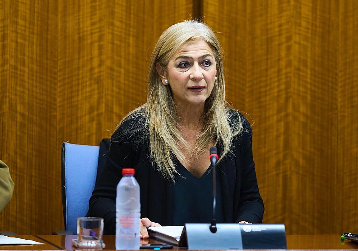 Granada cuenta con más de 11.000 plazas de nuevo ingreso pese a la caída de la natalidad